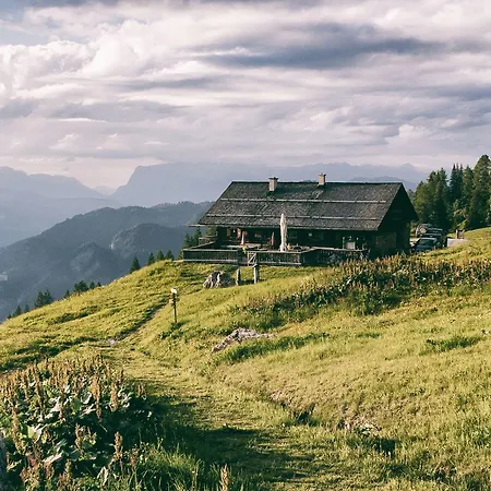 Berg-leben