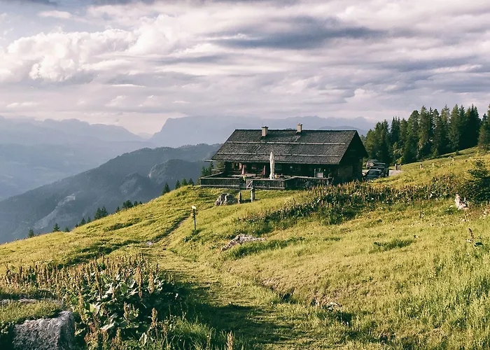 Berg-leben